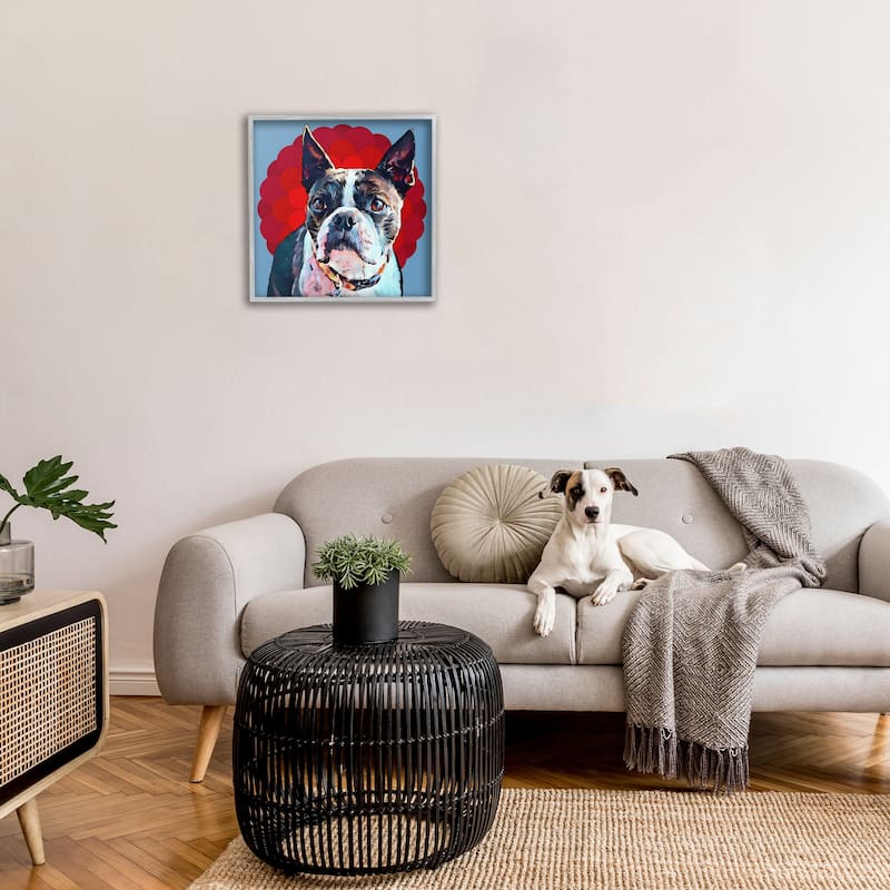 Stupell Boston Terrier Dog Portrait over Geometric Curved Pattern Framed Wall Art,12x12