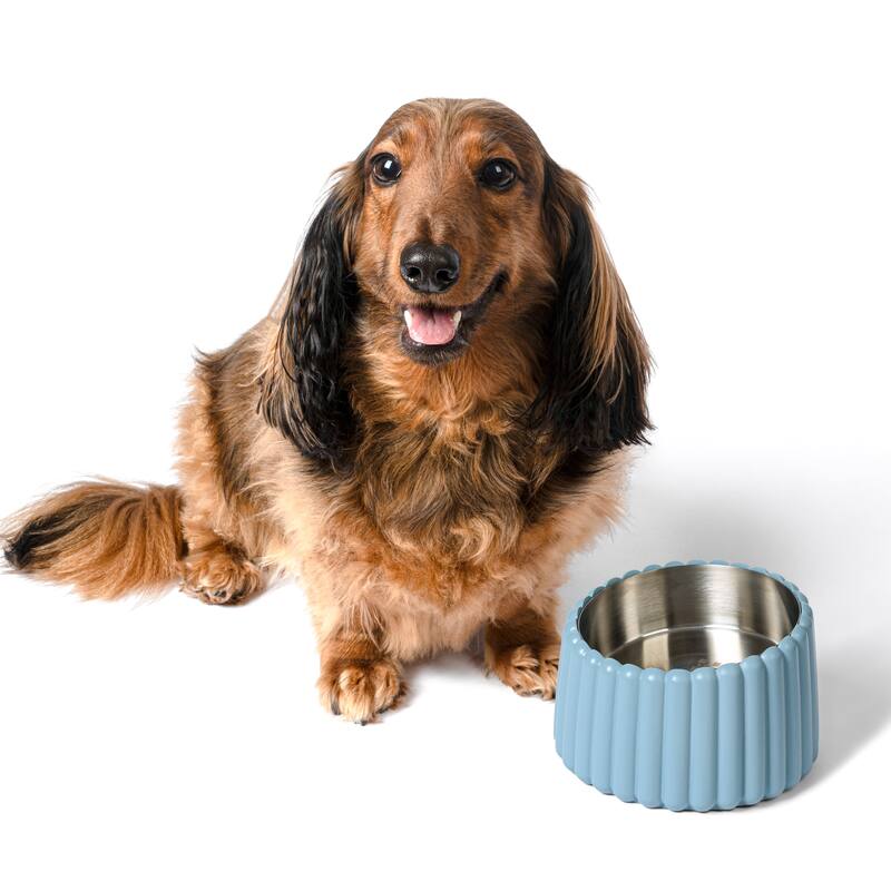 Intersecta Concrete & Steel Pet Feeder - 16oz with Metal Stand - Blue
