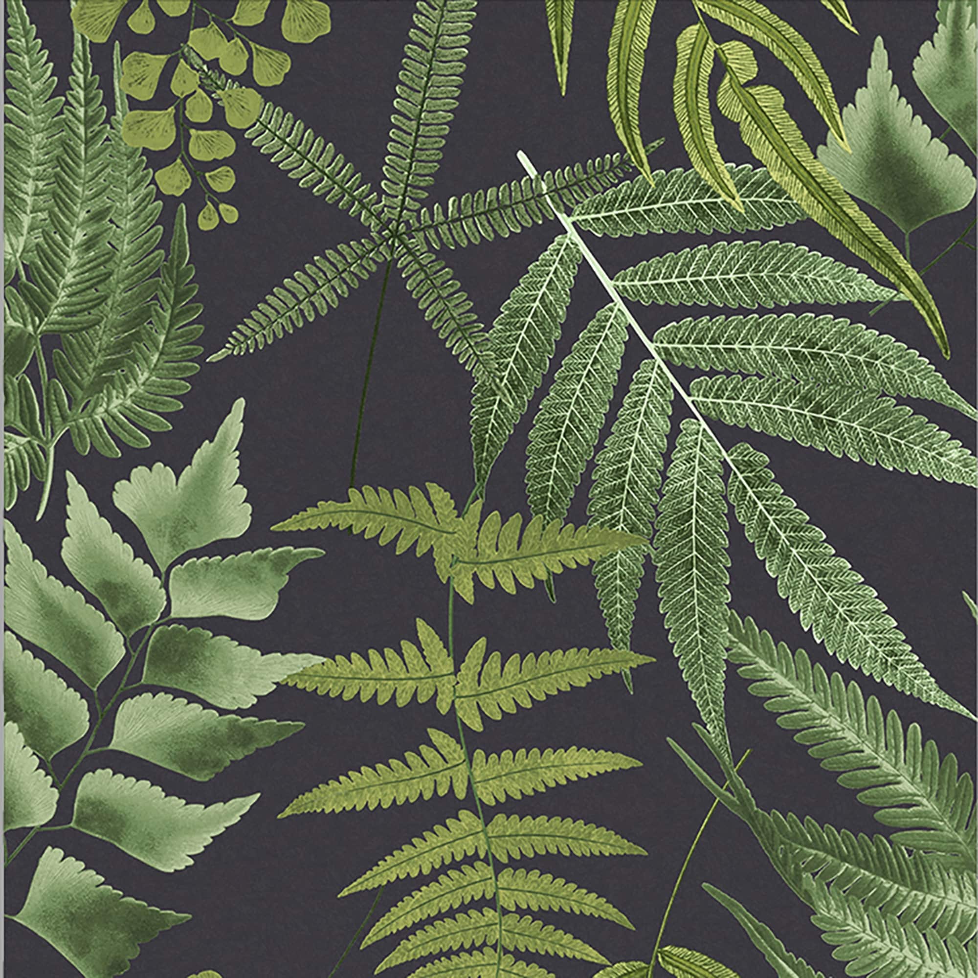 Midsummer Fern Black Wallpaper