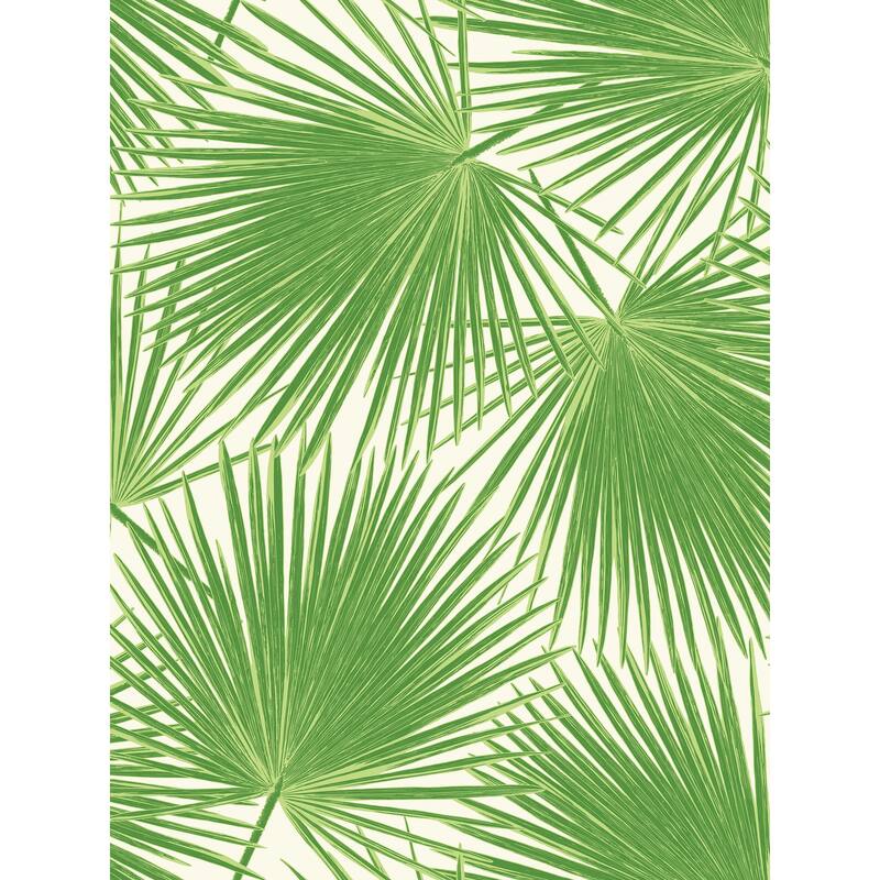 Seabrook Designs Aruba Palm Leaf Unpasted Wallpaper - 27 in. W x 27 ft. L - Green and White
