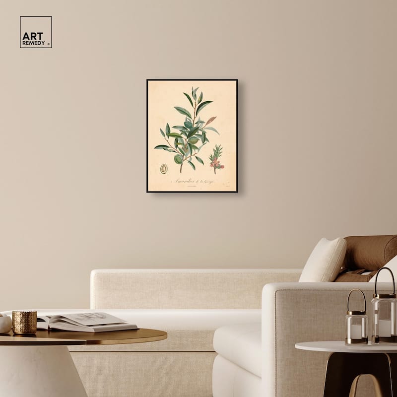Almond of Georgia I Canvas by Art Remedy