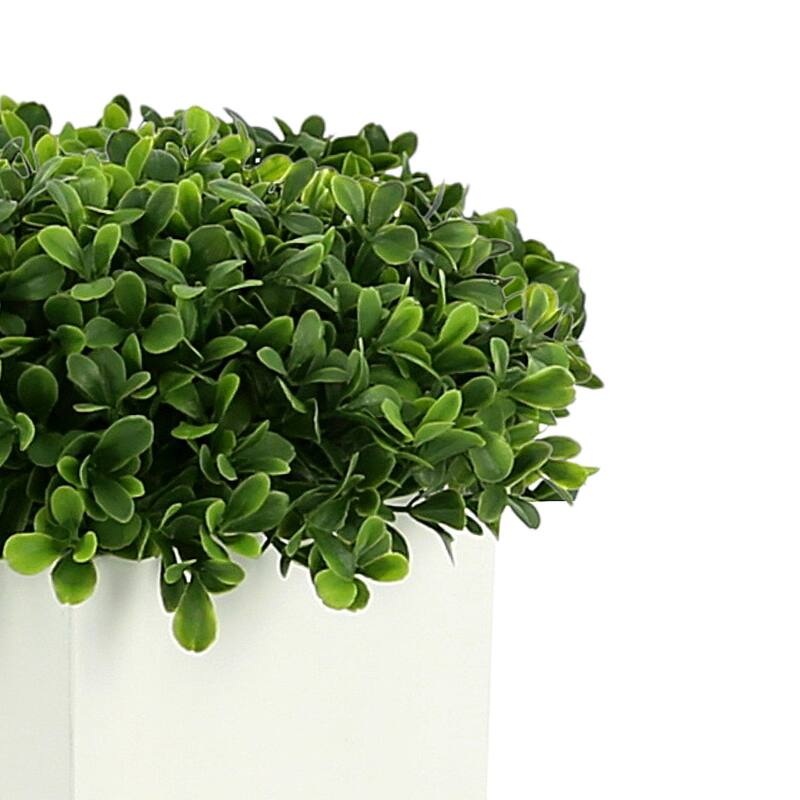 UV Rated Outdoor Boxwood in a Square Fiberstone Pot - White