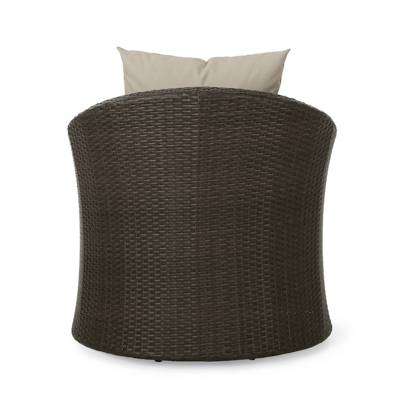 Darius Outdoor Wicker Aluminum Swivel Chair by Christopher Knight Home