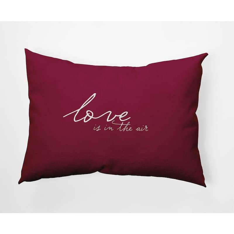Love in the Air Valentine's Day Decorative Indoor/Outdoor Pillow - 14" x 20" - Magenta