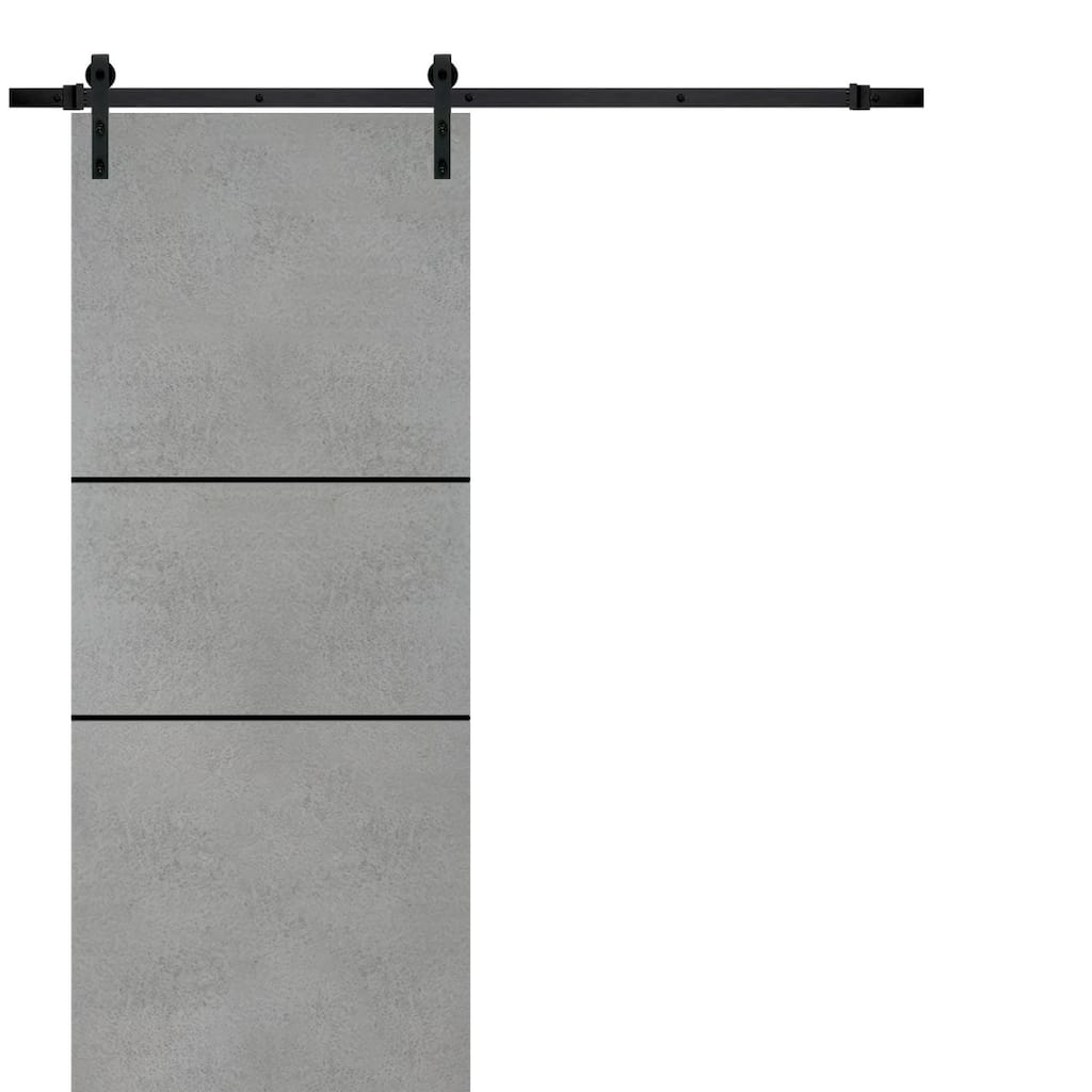 Sturdy Barn Door 36 x 80 Planum 0014 Concrete with 6.6FT