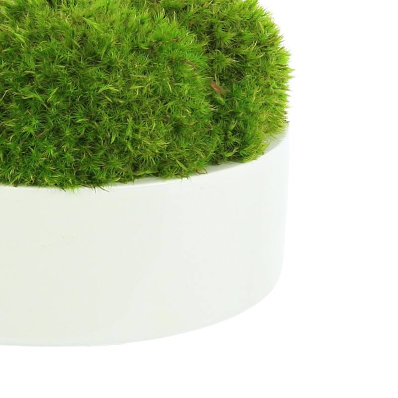 Rounded Moss in Round Fiberstone Planter - Green