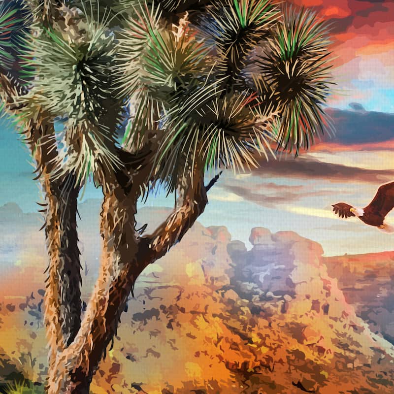 Joshua Tree by Old Red Truck Canvas Art Print