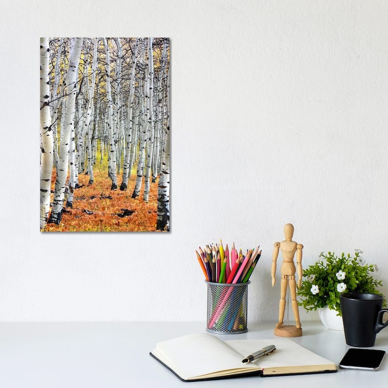 iCanvas "Autumn In Aspen" by Unknown Artist Canvas Print - 12x8x0.75