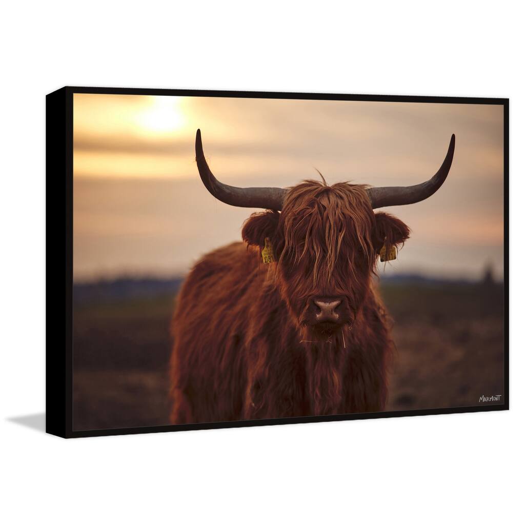Sunset and Cows Floater Framed Print on Canvas