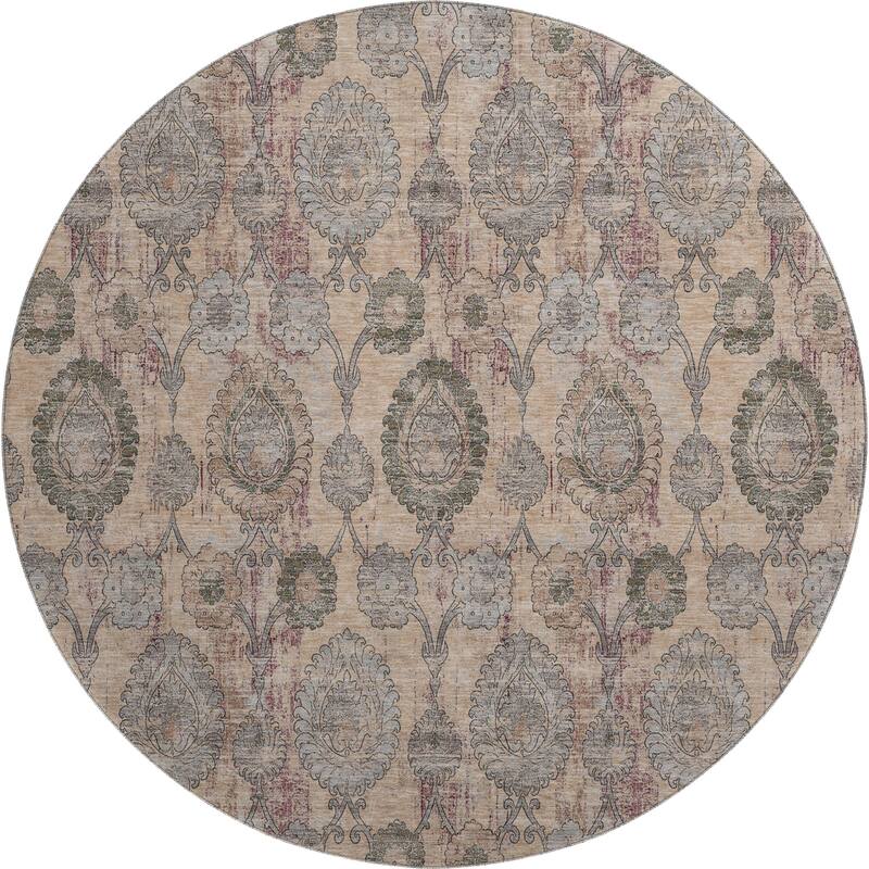 Premium Washable Super Soft Traditional Olivia Mayfield Rug
