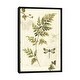 preview thumbnail 1 of 7, iCanvas "Ivies and Ferns III" by Lisa Audit Framed Canvas Print Black - 40x26