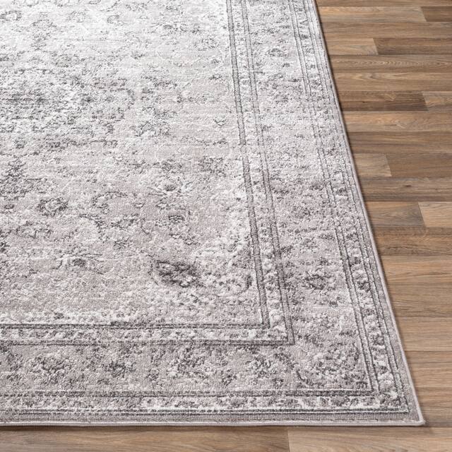 Artistic Weavers Antonie Distressed Updated Traditional Area Rug