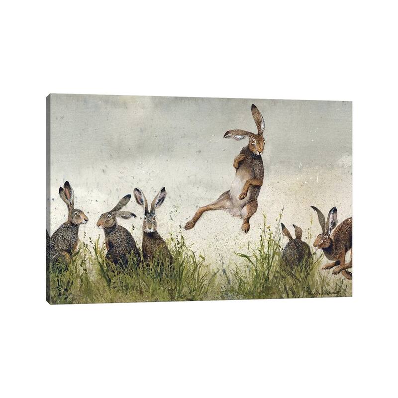 iCanvas 'Hijinx' by Maggie Vandewalle Canvas Print