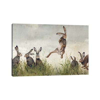 iCanvas 'Hijinx' by Maggie Vandewalle Canvas Print