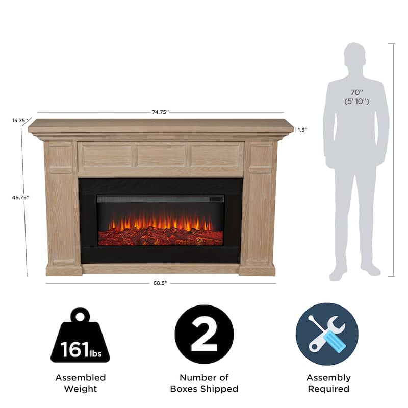 Alcott 75" Landscape Electric Fireplace by Real Flame