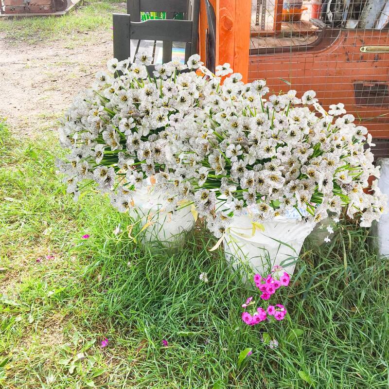 72 Bundles Outdoor Artificial Flowers UV Resistant Outdoor Fake Flowers No Fade Faux Plastic Plants