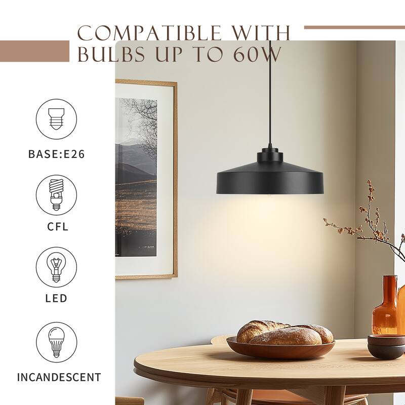 Industrial Ceiling Drum Light, Pendant Light Fixture, Black