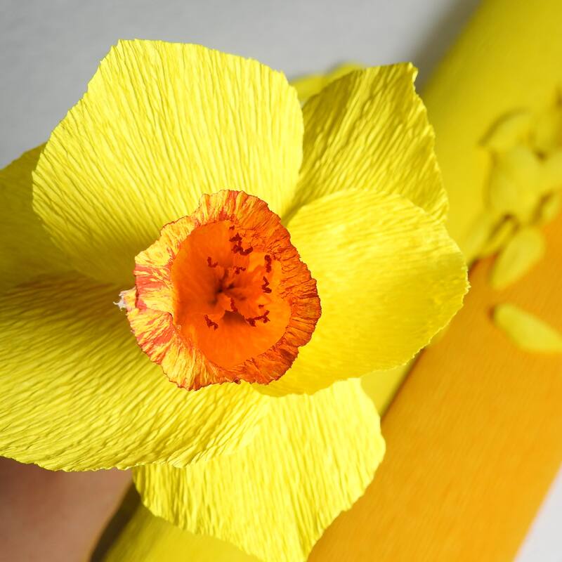 12pcs Crepe Paper Streamer 32ft Long 1.37 Inch Wide for Party Ornament