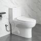 Option Dual Flush