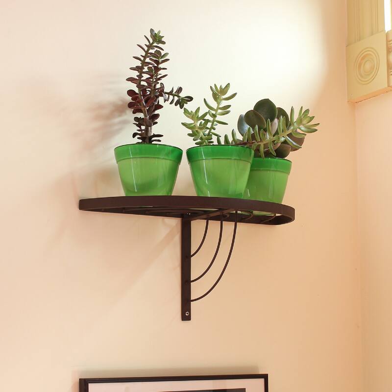 Achla Designs 18" W Half-Round Roman Bronze Wrought Iron Wall Plant Shelf, Powder Coated Finish