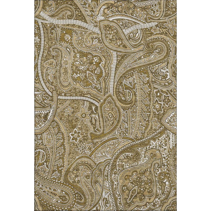 Premium Washable Super Soft Traditional Paisley Mayfield Rug