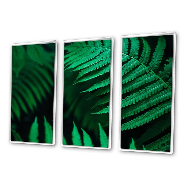 Designart "Dark Green Fern Leaf On Black III" Tropical Framed Wall Decor Set of 3 - 4 Colors of Frames