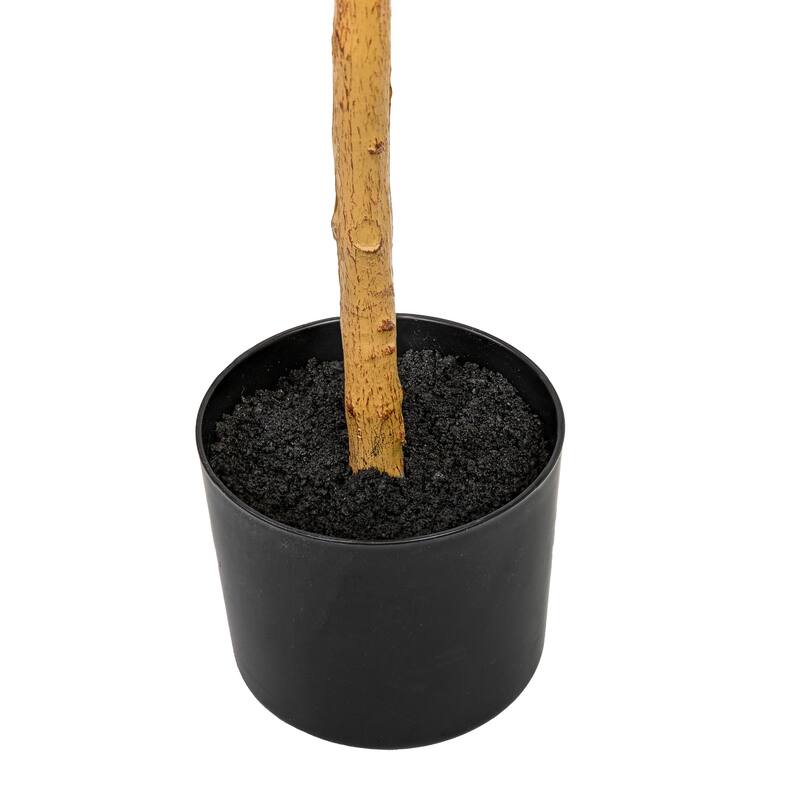 HomeRoots Set of Two 72" Green Artificial Olive Trees in a Black Pots - 25.00 in. x 72.00 in. x 25.00 in.