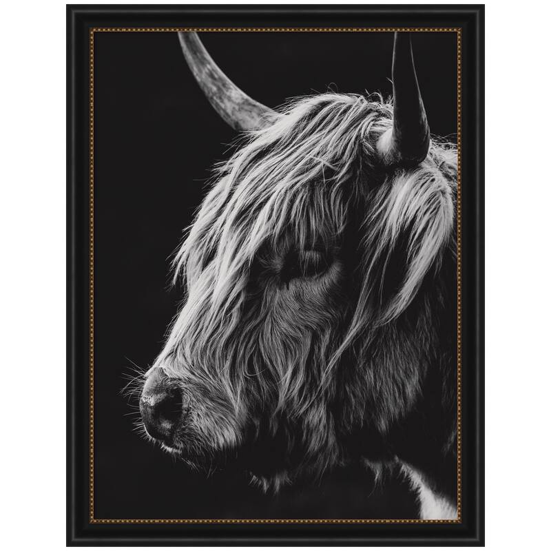 Kate and Laurel Scottish Highland Vertical by Crystal Lynn Collins Framed Wall Art Print - 34 x 44 - Black
