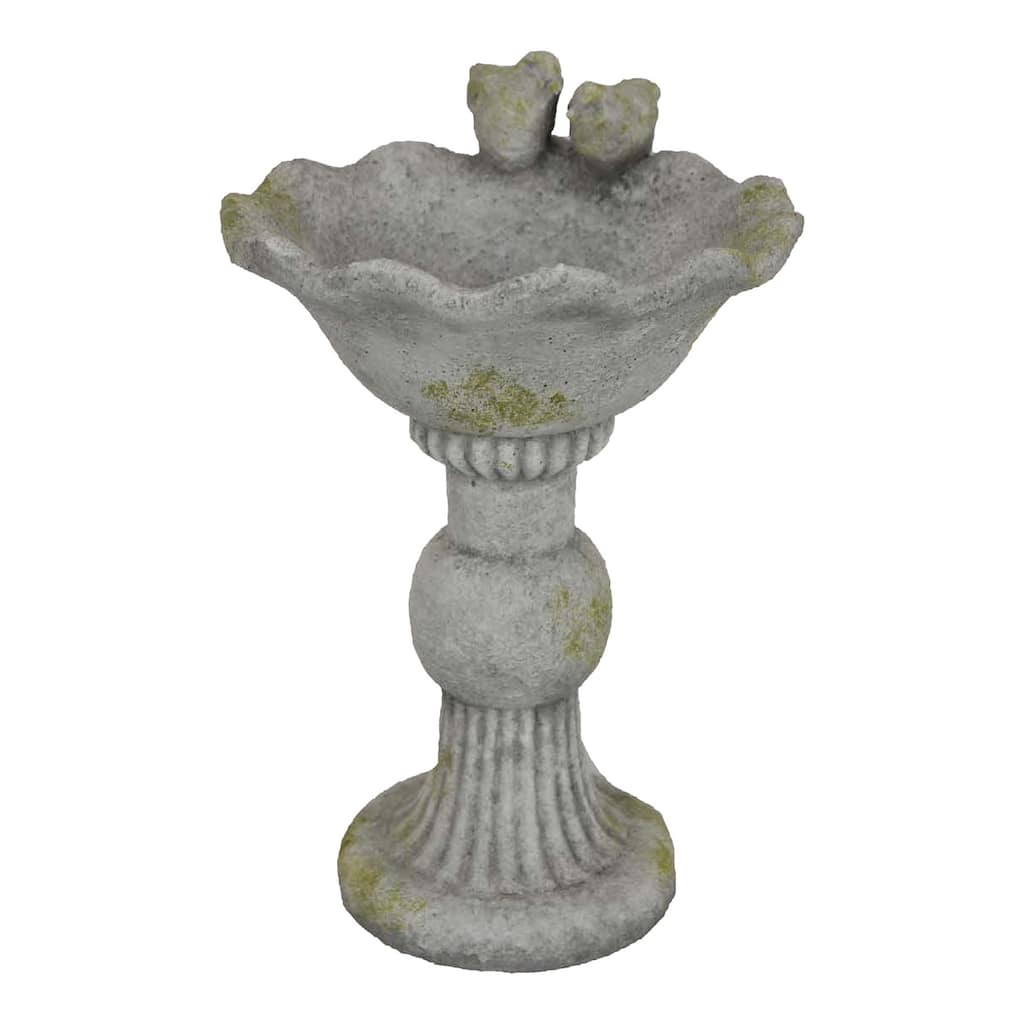 Ivina Bird Bath Feeder, Gray and Green, Cute Decorative, 16 Inch