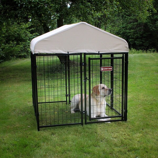 lucky dog pet resort kennel