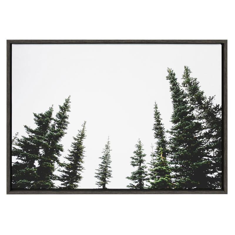 Kate and Laurel Sylvie Evergreens Framed Canvas by Patricia Hasz