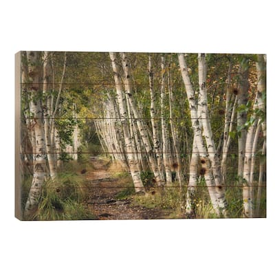 A Walk Through The Birch Trees Print On Wood by Danny Head - Multi-Color