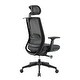 preview thumbnail 41 of 40, Ergonomic Mesh Executive Chair Home Office Chair with Lumbar Support, Headrest