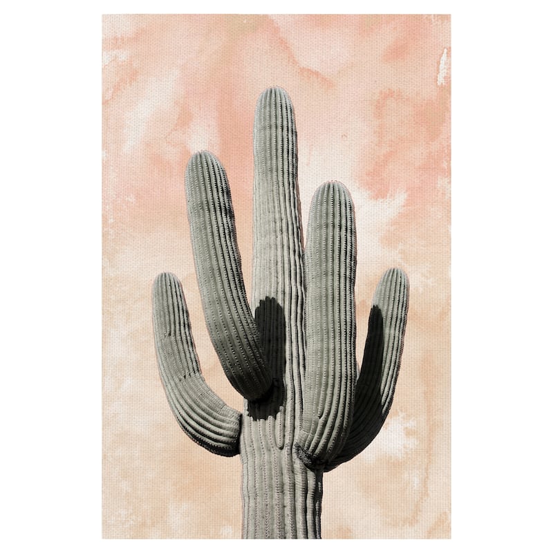 Desert Wash Coral II by Belle Maison Canvas Art Print
