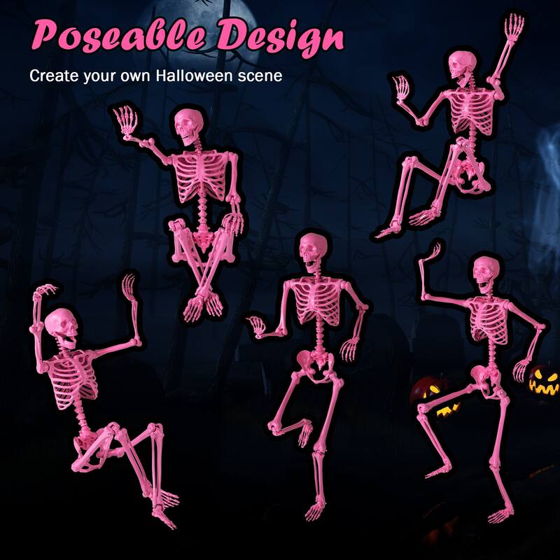 5.5 FT Halloween Skeleton Life-Size Poseable Skeleton w/ Movable Joints