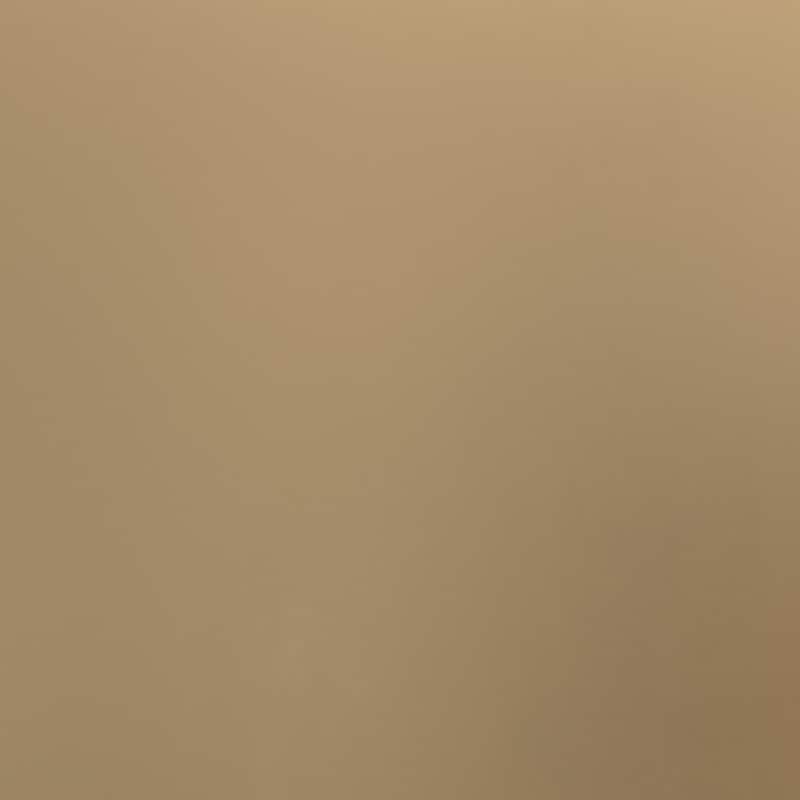 Little Seeds Monarch Hill Wren Full-size Bed