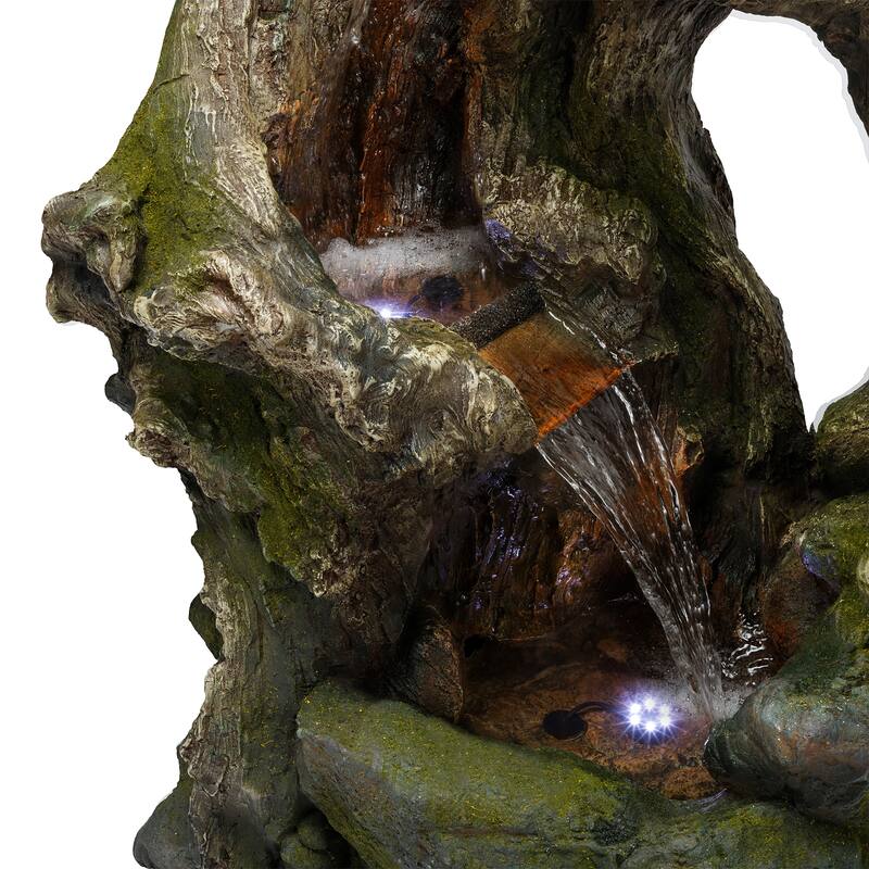 Curved Log Rainforest w/ LED light