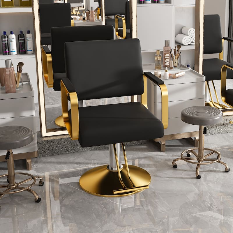 Roomfitters Hydraulic Salon Chair, 360 Swivel Styling Chair with Gold Base, Professional Barber Equipment, Black