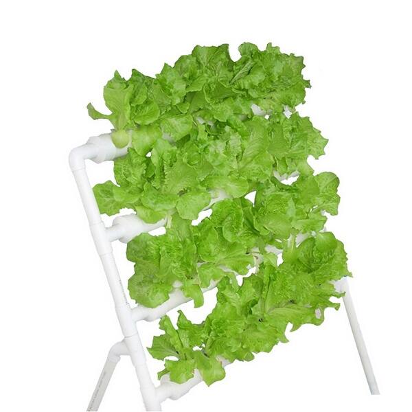 Shop Pvc Vertical Hydroponic Pipe Growing Systems With Water Pump