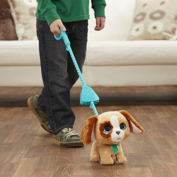 walkalots big wags