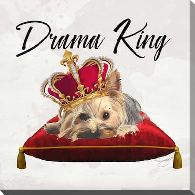 "Drama King Yorkie" by Jodi Print on Canvas