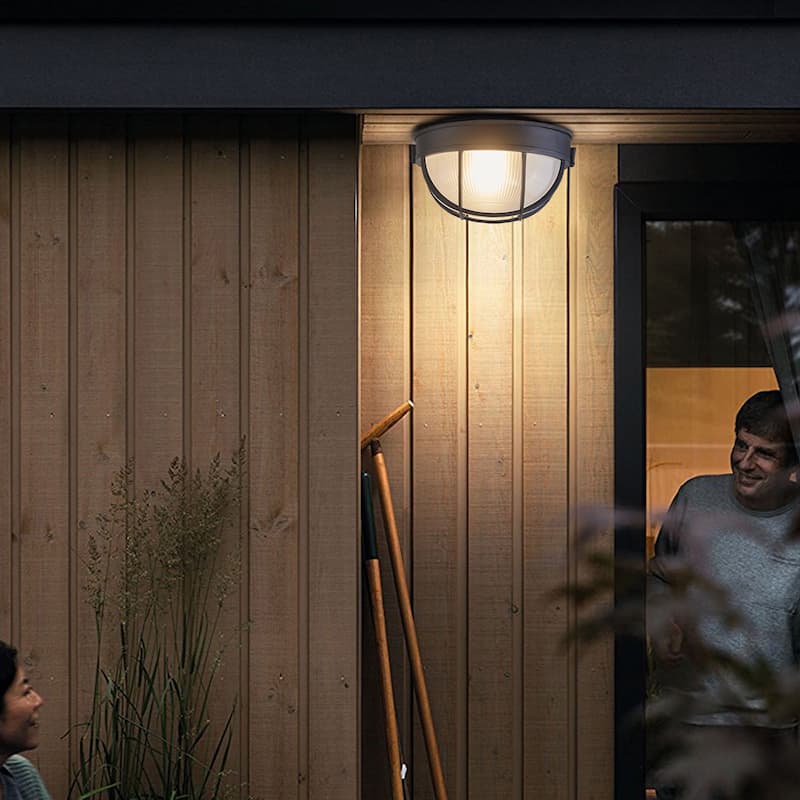 2-Light 11" Outdoor Ceiling Light, Black Finish with Clear Glass Shade