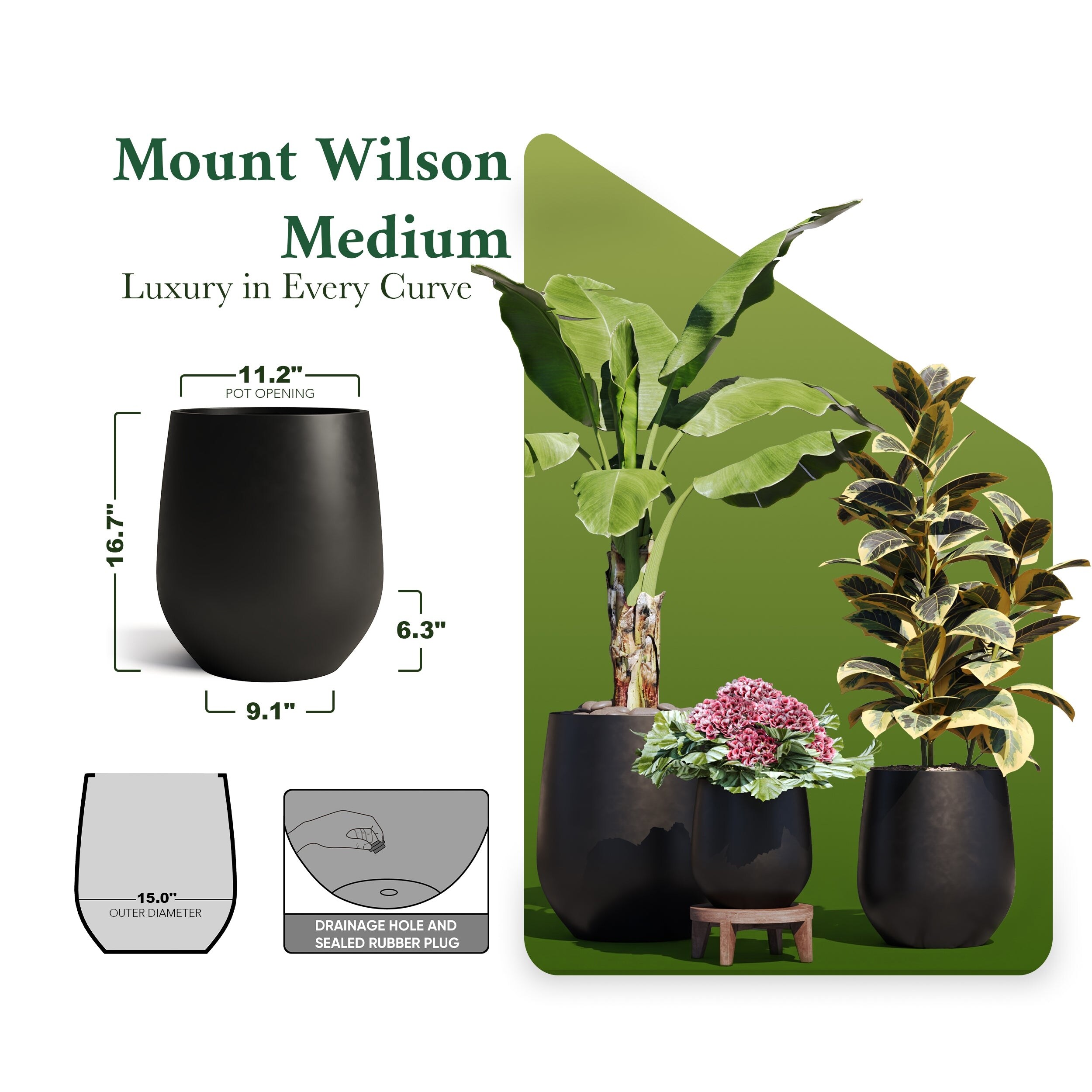 DTY-Signature-Mount-Wilson-1-