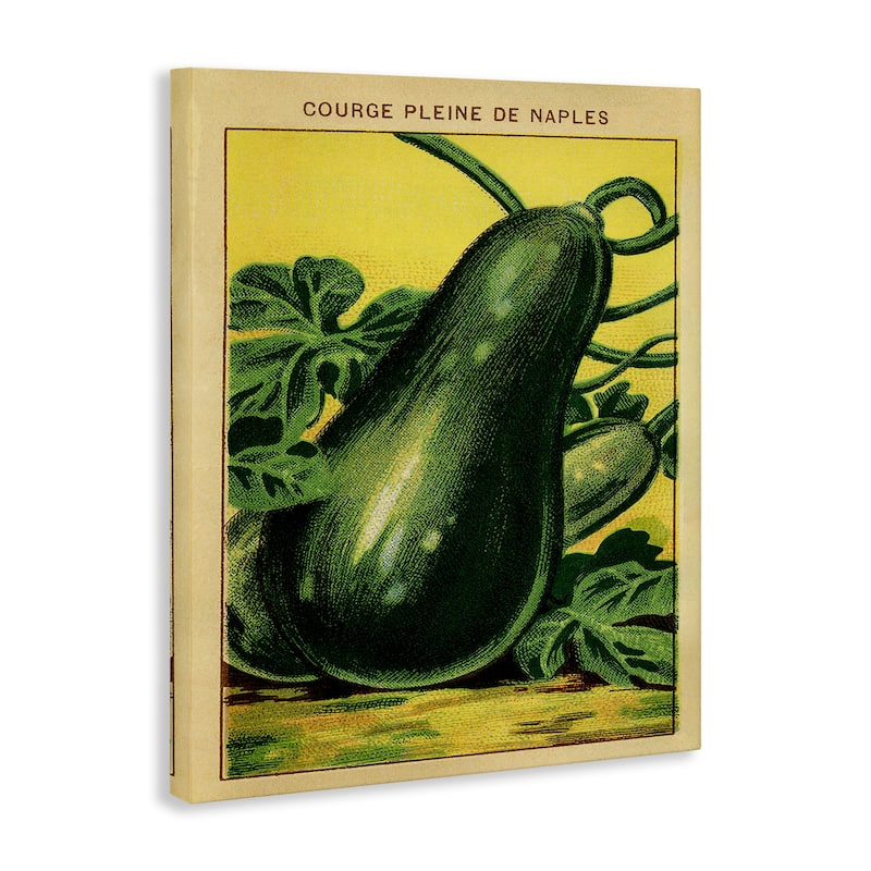 Stupell Country Vintage Squash Canvas Wall Art Design By Lil' Rue