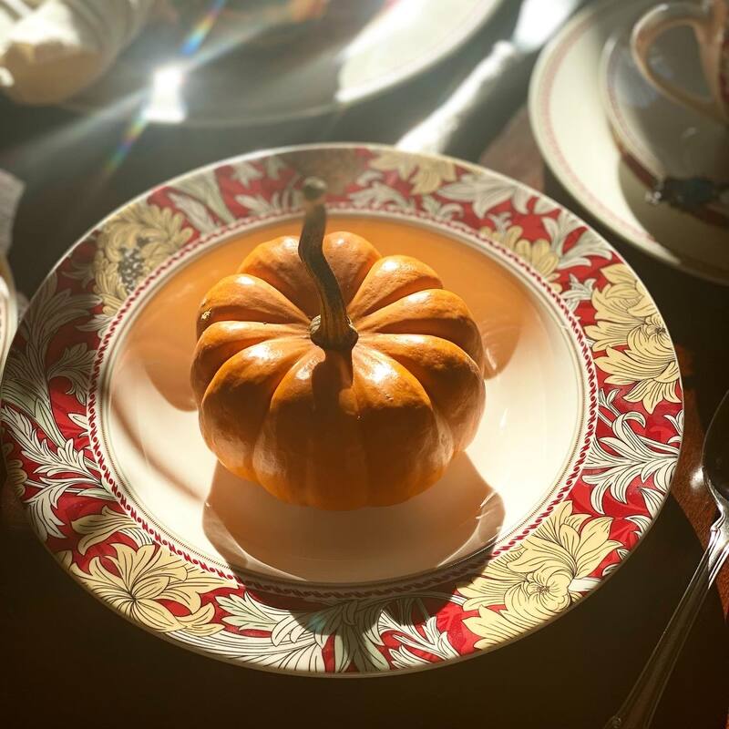 STP Goods Morris Garden Bone China Dinnerware Set of 20 for 4