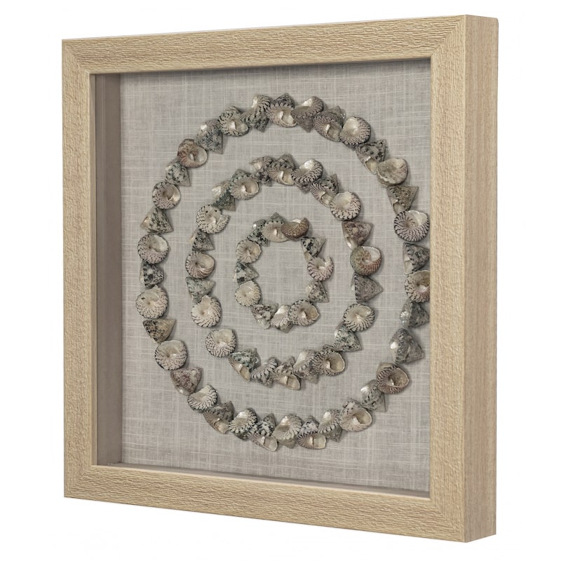 HUJI Sea Shell Rings Shadow Box Wall Décor Set