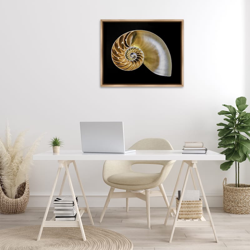 Stupell Tan Nautilus Shell on Black Framed Floater Canvas Wall Art Design By Mary Lou Johnson