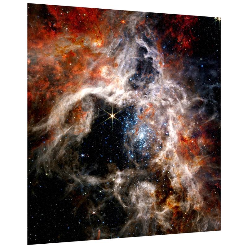 Empire Art Direct The Tarantula Nebula Printed Tempered Glass Wall Art - Multi-Color