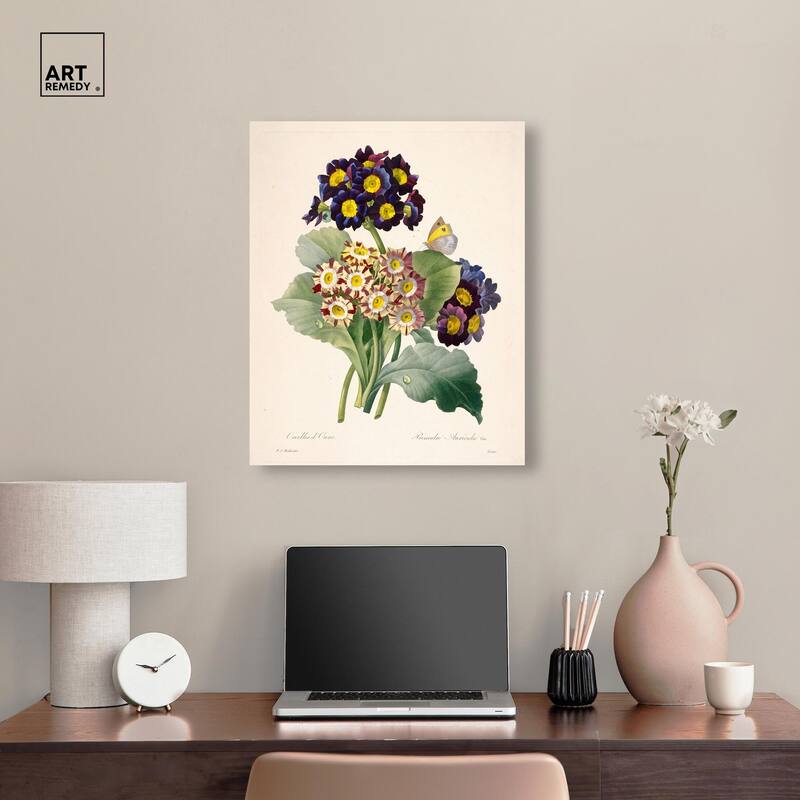 Auricula Varieties Canvas by Art Remedy, Gallery Wrapped