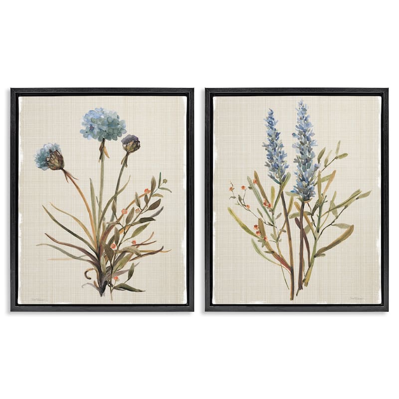 Stupell Natural Budding Blooms Framed Floater Canvas Wall Art Design By Carol Robinson (Set of 2) - 25 x 31 - Black